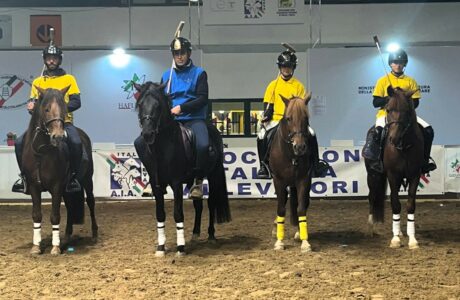 Cavallo del Sarcidano alla 127^ Fieracavalli di Verona